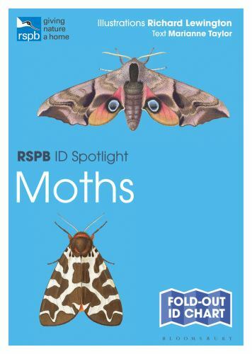 Moths richard lewington - moths,