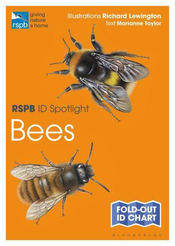 Bees richard lewington - bees, by